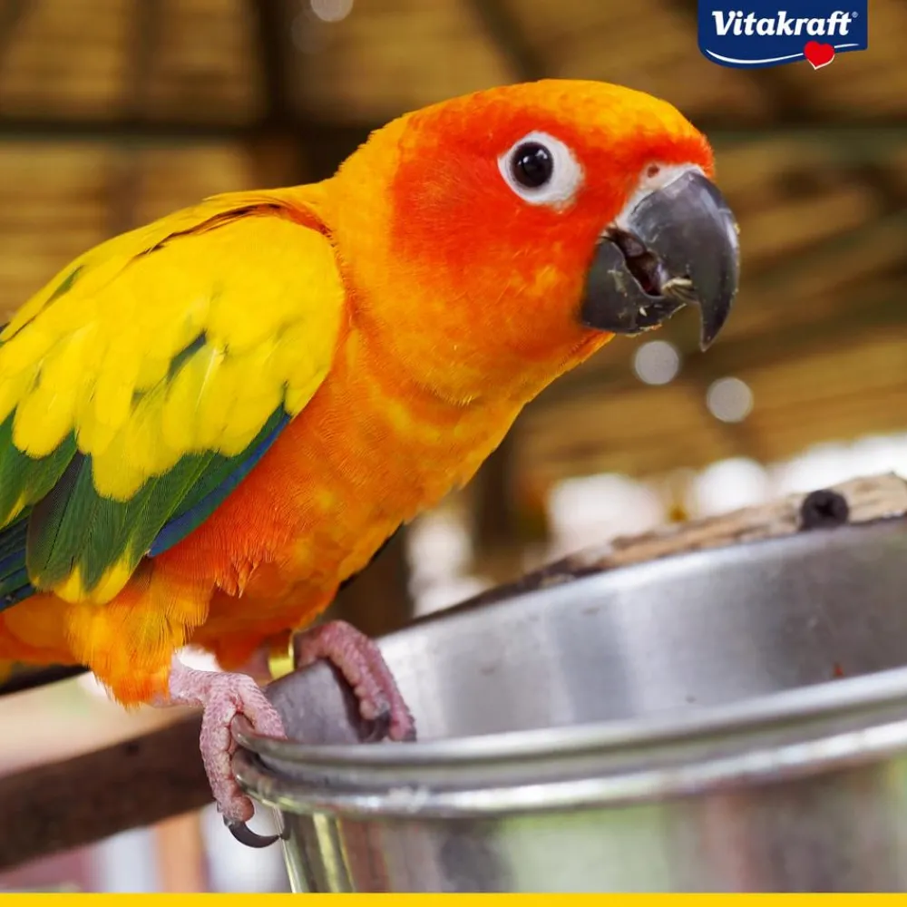 Vitakraft® Vogelfutter Amazonian für südamerikanische Papageien, 750 g Outlet