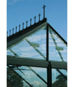 Vitavia Firstkrone Dunkelgrün Hot