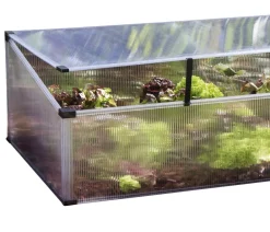 Vitavia Frühbeet Feronia, ca. B104/H36/T56 cm Transparent Clearance