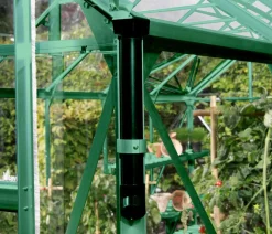 Vitavia Gewächshäuser - Gewächshaus Pollux 3800 HKP, ca. B195/H197/T195 cm Dunkelgrün