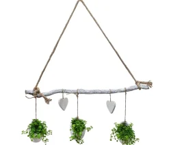 Dehner Hängepflanzen|Zimmerpflanzen Mit Übertopf > Wandhänger Herz mit Peperomie - Peperomia rotundifolia,