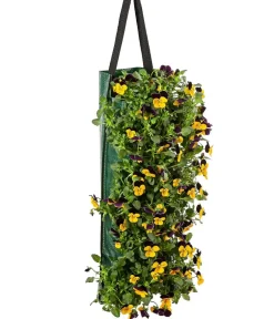 Dehner Balkonpflanzen-Sets|Hängende Sommerblüher - Wandhänger mit Hornveilchen, verschiedene Farben