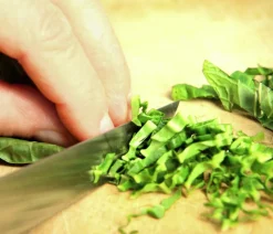 Dehner Garten- & Heilkräuter|Küchenkräuter > Wasabi