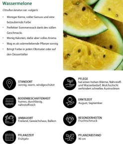 Dehner Wassermelone, Gelb Best