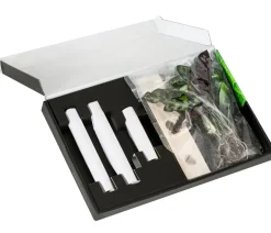 Dehner Waterplant-Set in Reagenzgläsern, 3-teilig Grün Outlet