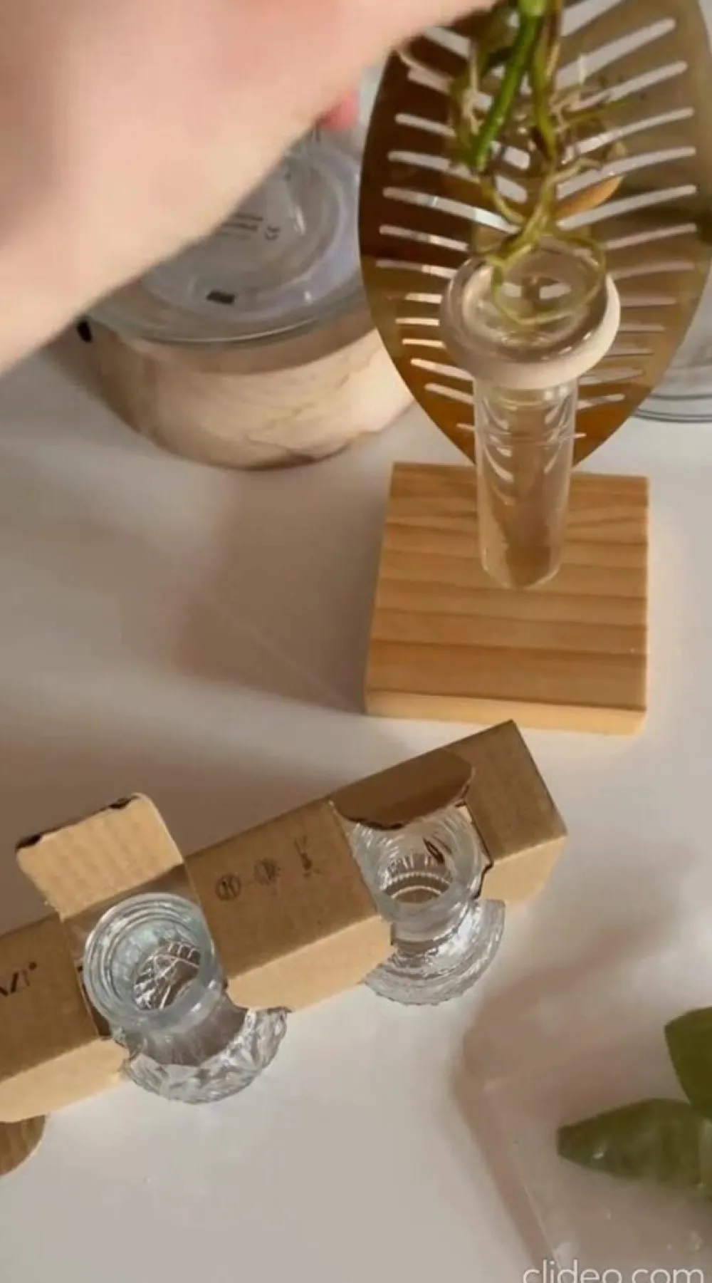 Dehner Waterplant-Set in Vasen, 3-teilig Grün Online