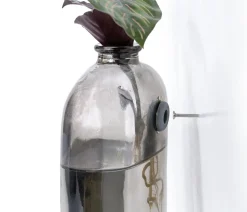 Dehner Raritäten|Grünpflanzen > Waterplant-Set Wandhänger, 2-teilig