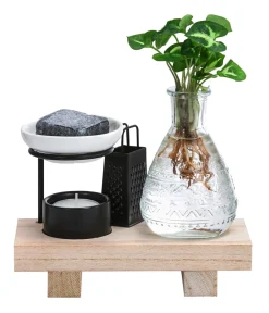 Dehner Waterplants & Flaschengärten > Waterplant-Set Wellness in Glasflasche - Syngonium podophyllum 'Pixie'