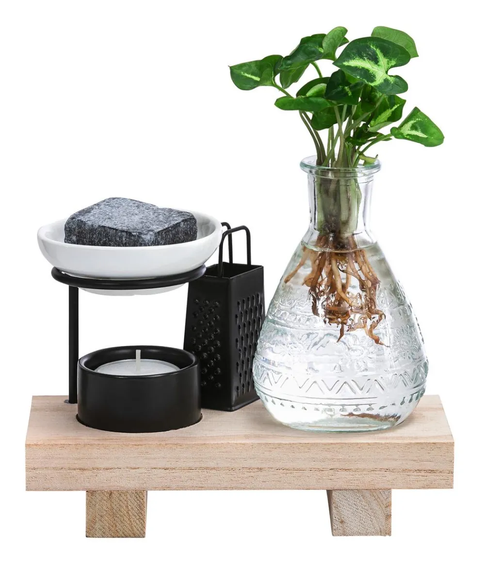 Dehner Waterplants & Flaschengärten > Waterplant-Set Wellness in Glasflasche - Syngonium podophyllum 'Pixie'