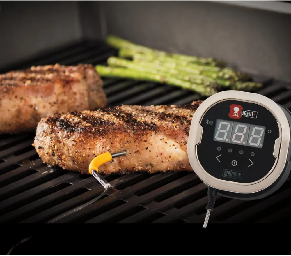 Weber Grillzubehör - ® iGrill 2 mit zwei Messfühlern Schwarz