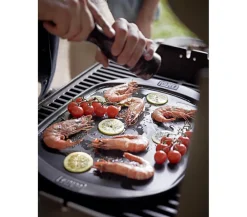Weber Grillrost & -Einsätze|Grillzubehör > keramische Grillplatte