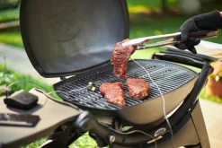 Weber Thermometer Connect Smart Grilling Hub Schwarz Hot