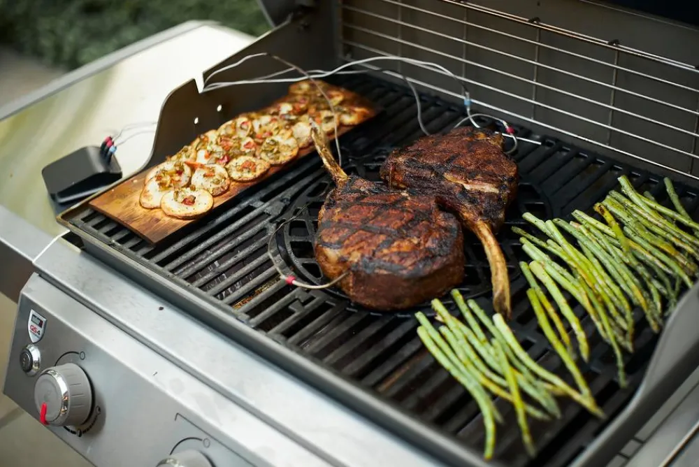 Weber Thermometer Connect Smart Grilling Hub Schwarz Hot