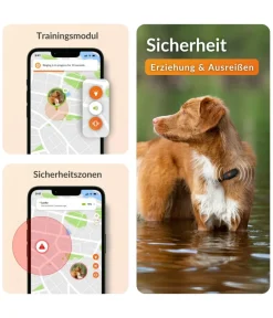 Weenect XS GPS-Tracker für Hunde, ca. B6,05/H2,45/T1,5 cm Schwarz Outlet