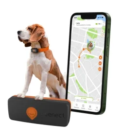 Weenect XS GPS-Tracker für Hunde, ca. B6,05/H2,45/T1,5 cm Schwarz Outlet