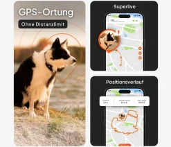 Weenect Mehr Transport & Unterwegs > XT GPS-Tracker für Hunde inkl. JK9 Halsband