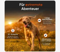 Weenect Mehr Transport & Unterwegs > XT GPS-Tracker für Hunde