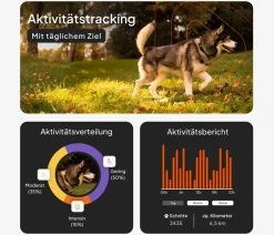 Weenect Mehr Transport & Unterwegs > XT GPS-Tracker für Hunde