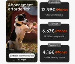 Weenect XT GPS-Tracker für Hunde inkl. JK9 Halsband Orange Discount