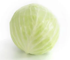 Dehner Weißkohl, 6er Schale Grün Clearance
