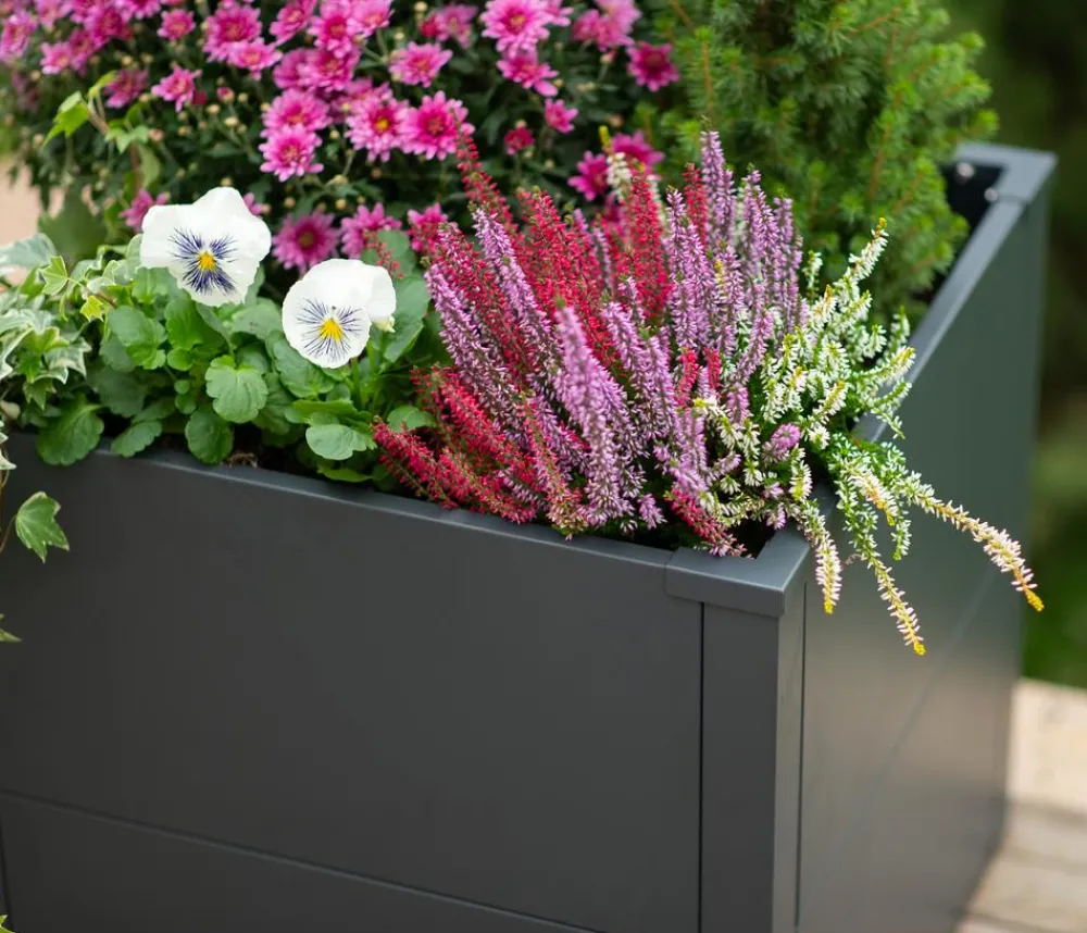 Westmann Pflanzkübel & Blumenkästen - Metall-Pflanzkasten Talus, Anthrazit