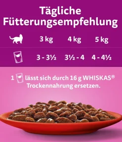 Whiskas® Nassfutter für Katzen Multipack Jumbo Klassische Auswahl in Sauce, Adult, 80 x 85 g Clearance