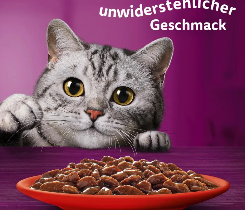 Whiskas® Nassfutter für Katzen Multipack Jumbo Klassische Auswahl in Sauce, Adult, 80 x 85 g Clearance