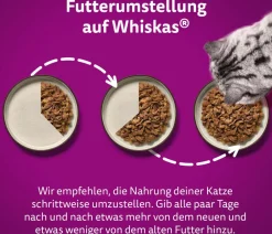 Whiskas® Nassfutter Katze - Nassfutter für Katzen Multipack Tasty Mix Country Collection in Sauce, Adult
