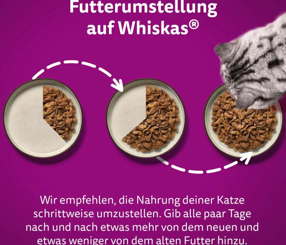 Whiskas® Nassfutter Katze - Nassfutter für Katzen Multipack Tasty Mix Country Collection in Sauce, Adult