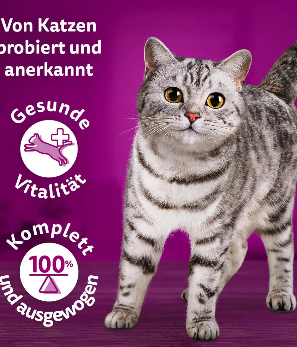 Whiskas® Nassfutter Katze > Nassfutter für Katzen Multipack Tasty Mix Chef's Choice in Sauce, Adult, 12 x 85 g