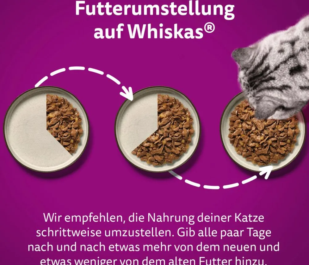 Whiskas® Nassfutter Katze > Nassfutter für Katzen Multipack Tasty Mix Chef's Choice in Sauce, Adult, 12 x 85 g