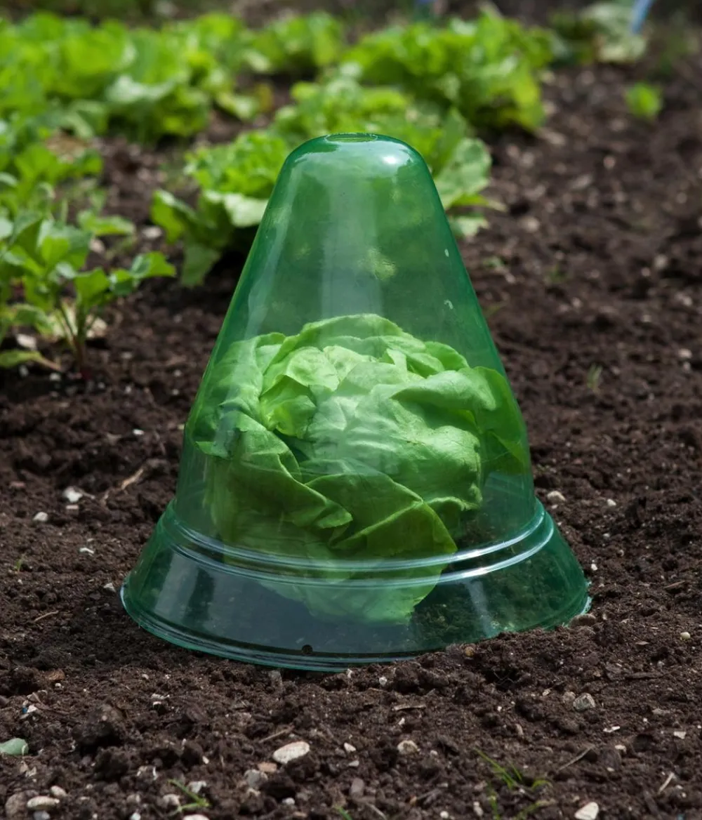 Windhager Pflanzenfolien & Ernteschutz > Pflanzenhut, Ø24 cm, 10 Stk.