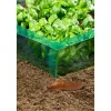 Windhager Schädlingsbekämpfungsmittel > Schneckenbarriere PET, grün, ca. L8 m/B20 cm