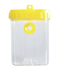 Windhager Wespen- & Fliegenfallen Duo, 2er-Set Outlet