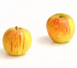 Dehner Winterapfel 'Cox Orange' Gelb Discount