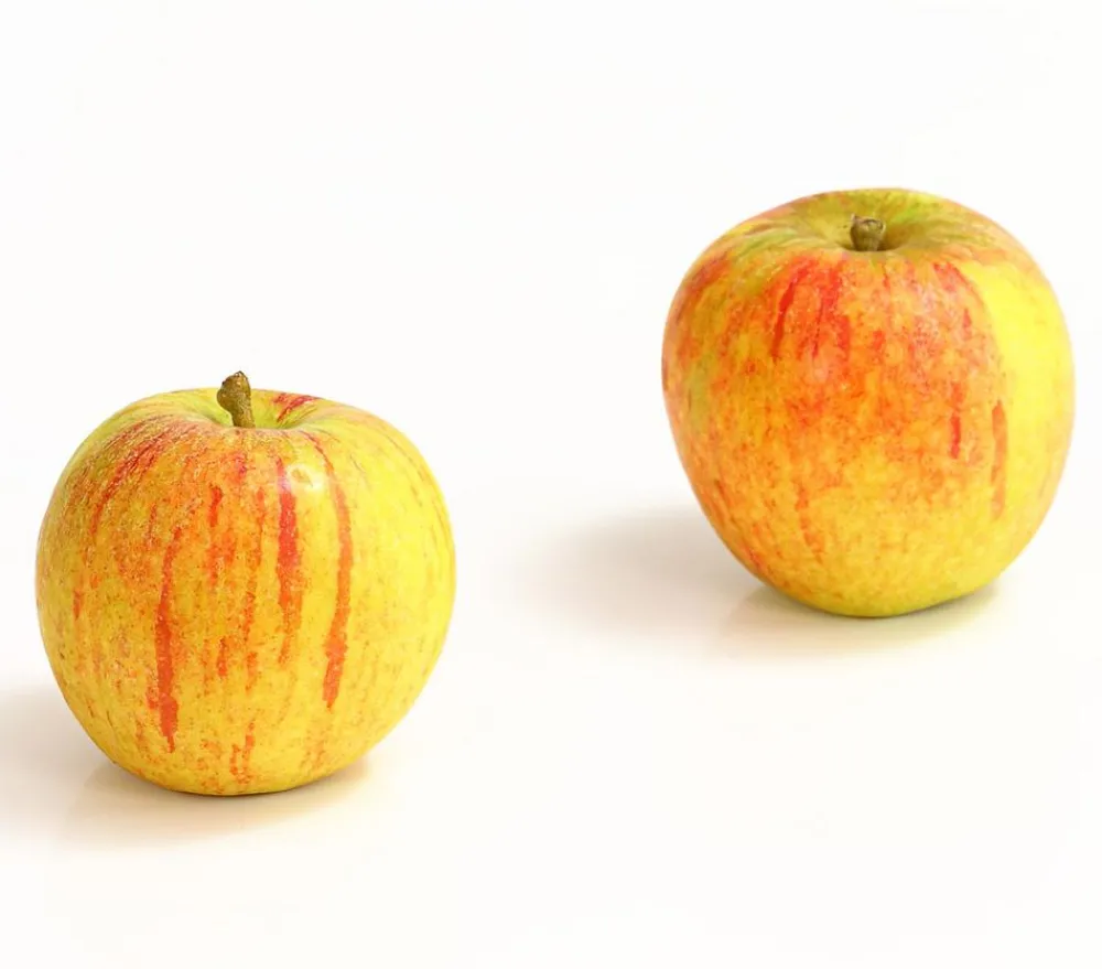 Dehner Winterapfel 'Cox Orange' Gelb Discount