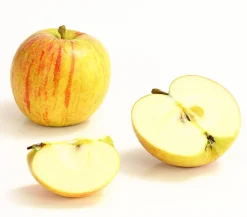 Dehner Winterapfel 'Cox Orange' Gelb Discount