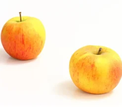 Dehner Winterapfel 'Goldparmäne' Gelb