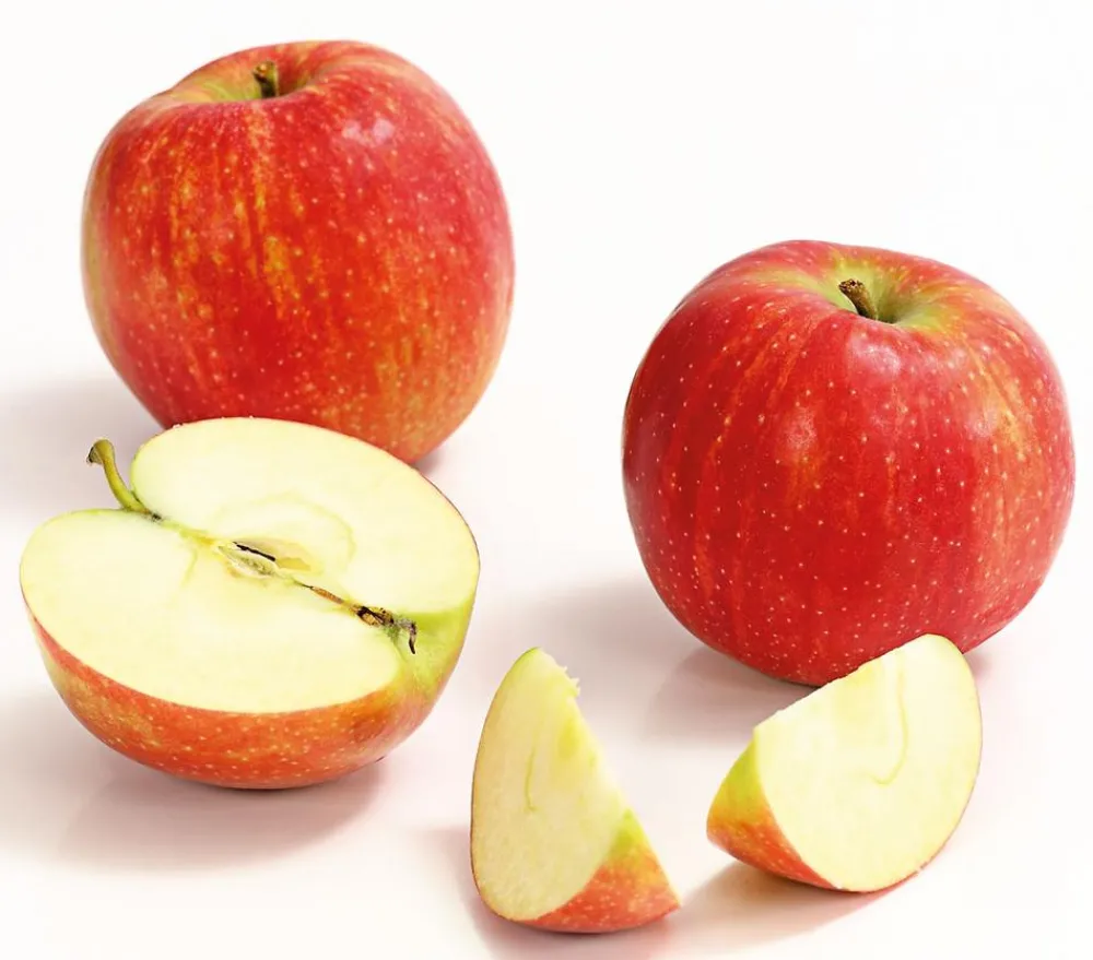 Dehner Winterapfel 'Jonagold' Rot Online