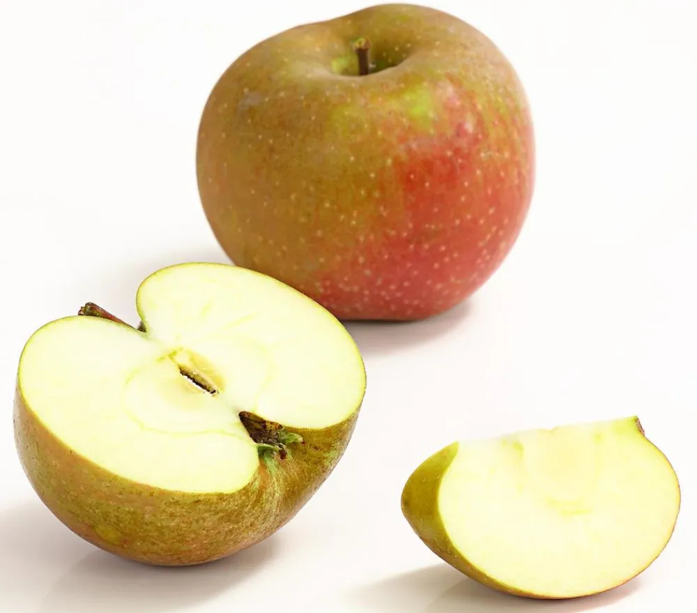 Dehner Winterapfel 'Roter Boskoop' Dunkelrot Outlet