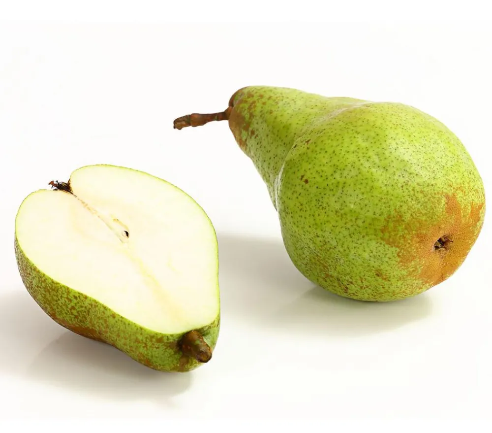 Dehner Obstbäume|Birnen- & Apfelbäume - Winterbirne 'Novembra'