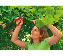 Wolf Garten Heckenschere & Gartenschere > Wolf Amboss Gartenschere RS 2500