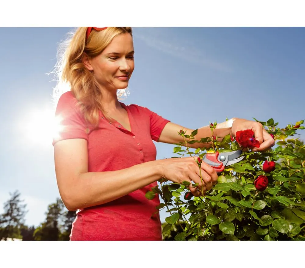 Wolf Garten Heckenschere & Gartenschere > schere RR 4000