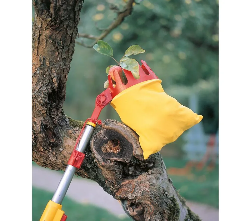 Wolf Garten Gartengeräte > Wolf multi-star® Obstpflücker RG-M