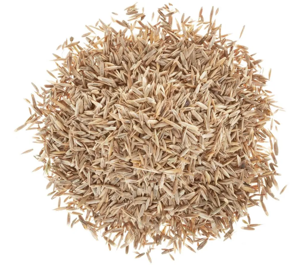 Wolf Garten Wolf Premium-Rasen Supra New