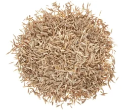 Wolf Garten Rasensamen - Wolf Premium-Rasen Supra