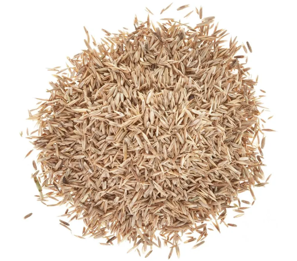 Wolf Garten Rasensamen > Wolf Saatgut Strapazier-Rasen