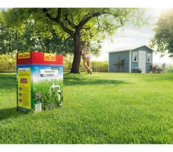Wolf Garten Rasensamen - Wolf Saatgut Trocken-Rasen Premium