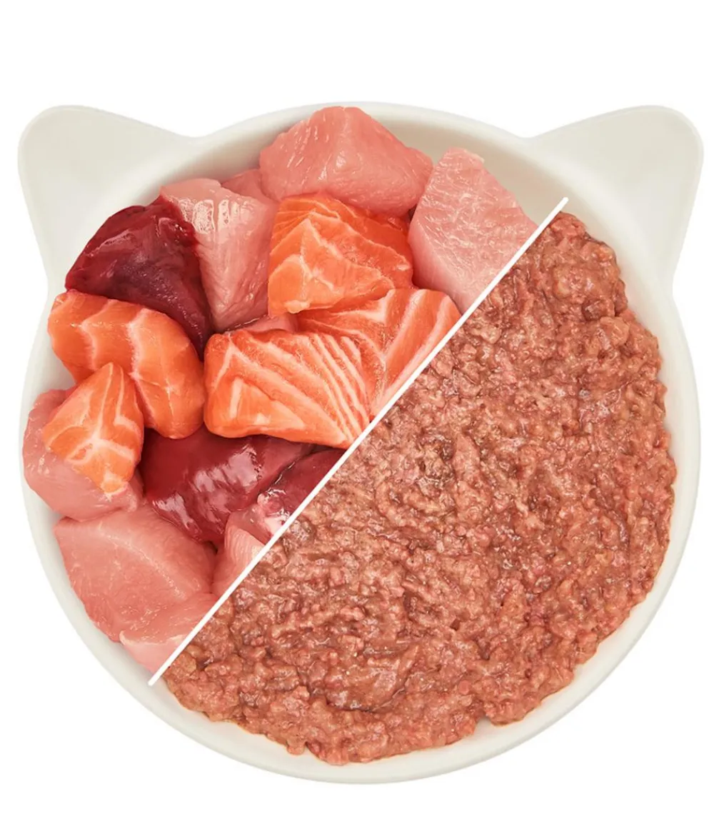 WOW ® Cat Nassfutter für Katzen Premium Paté Adult, 6 x 200 g Sale