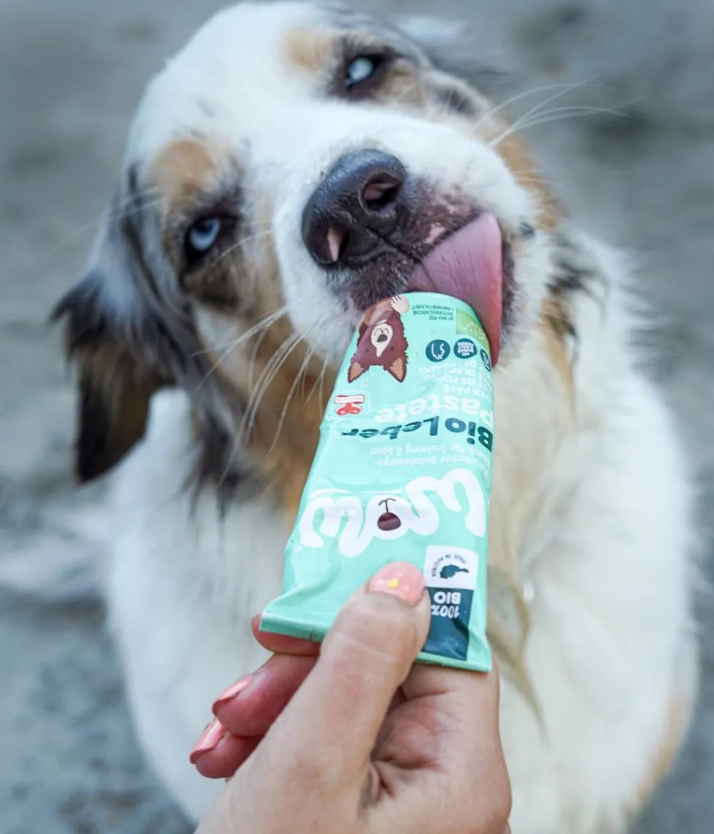 WOW Hundeleckerlies - ® Hundesnack Bio Leberpaste, 80 g